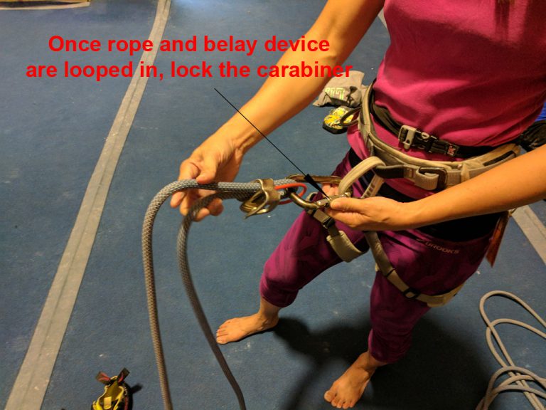What is a Belay Learn to Top Rope Belay for Indoor Gym Rock
