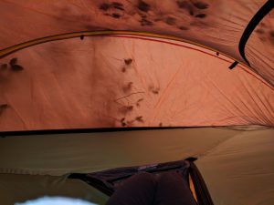 Inside sting ray tree tent